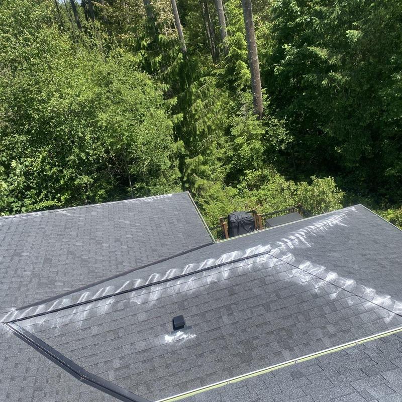 Roof moss treatment and gutter cleaning in Redmond WA