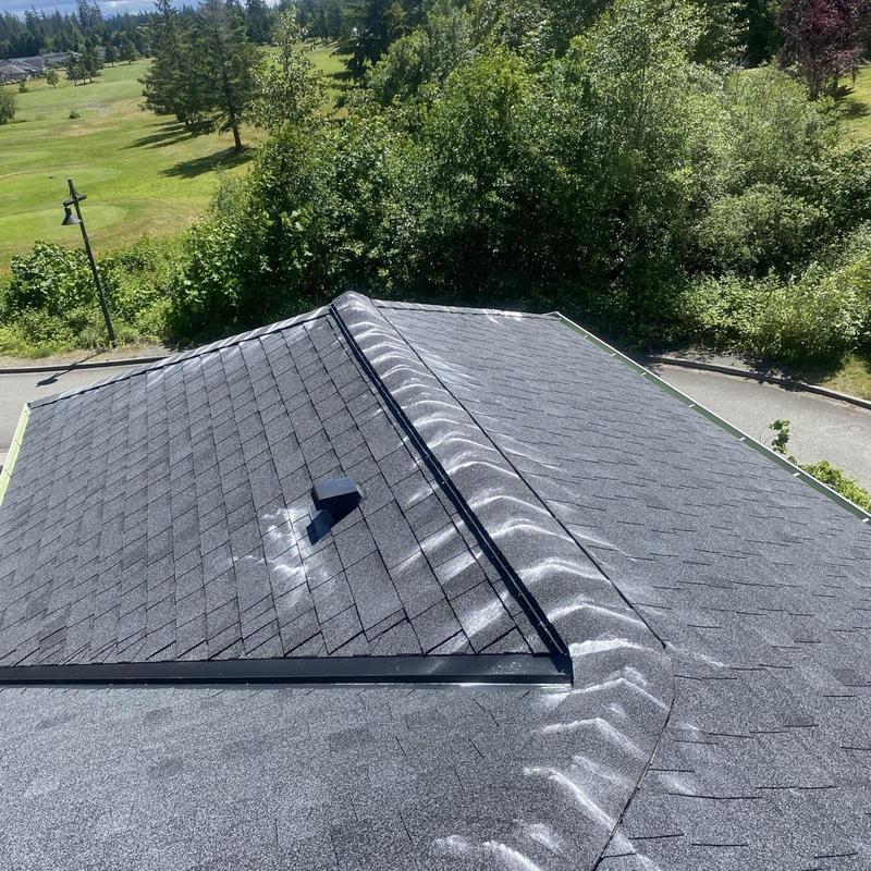 Asphalt shingle roof with moss treatment and cleaning