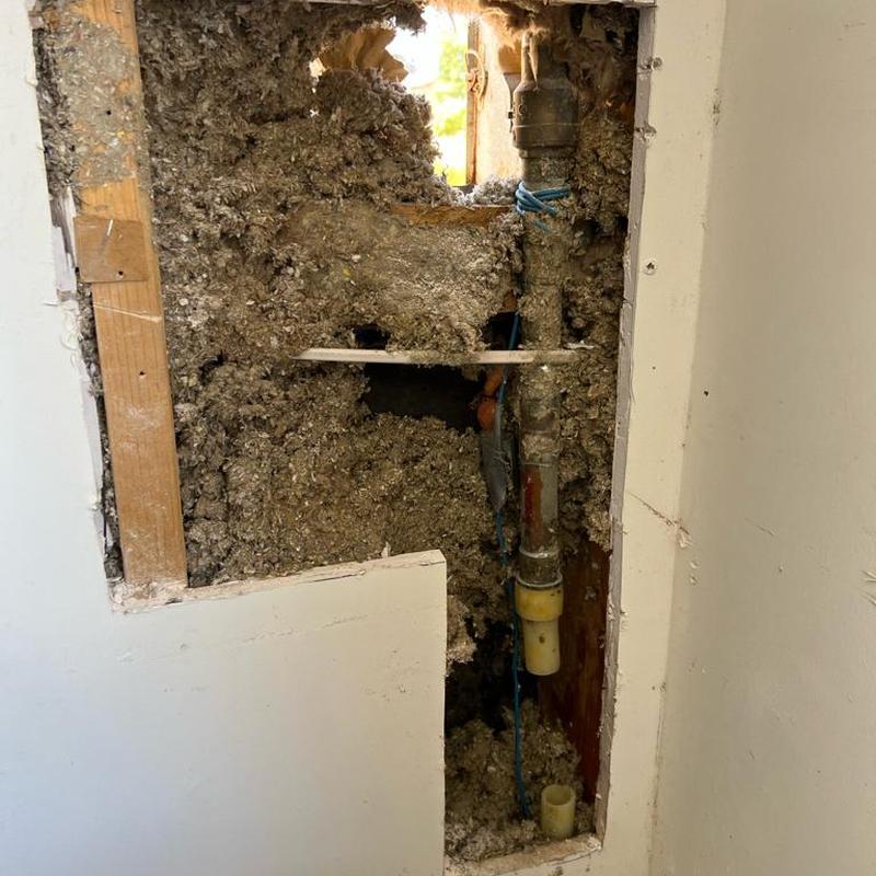 Copper and PEX pipe with pressure-reducing valve access panels