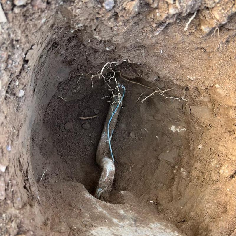 Water main excavation with exposed pipe and roots