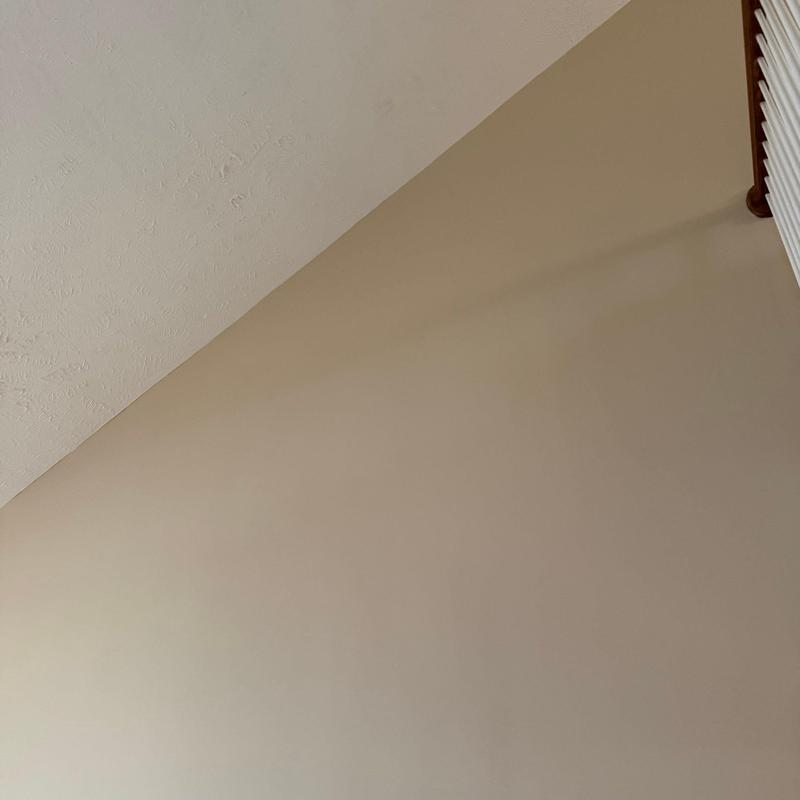 Ceiling corner with water damage and stains