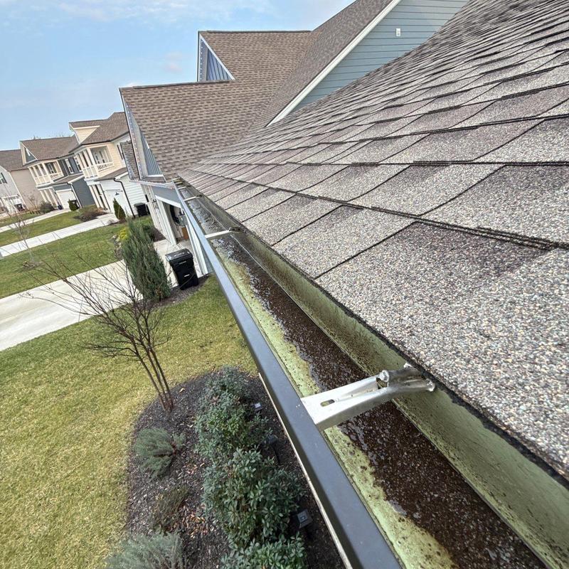 Asphalt shingle roof and clogged gutter inspection