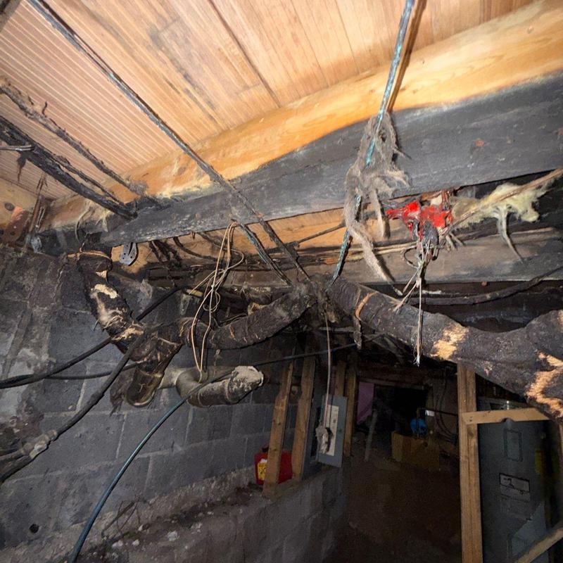 Insulated plumbing pipes with damage in basement crawlspace