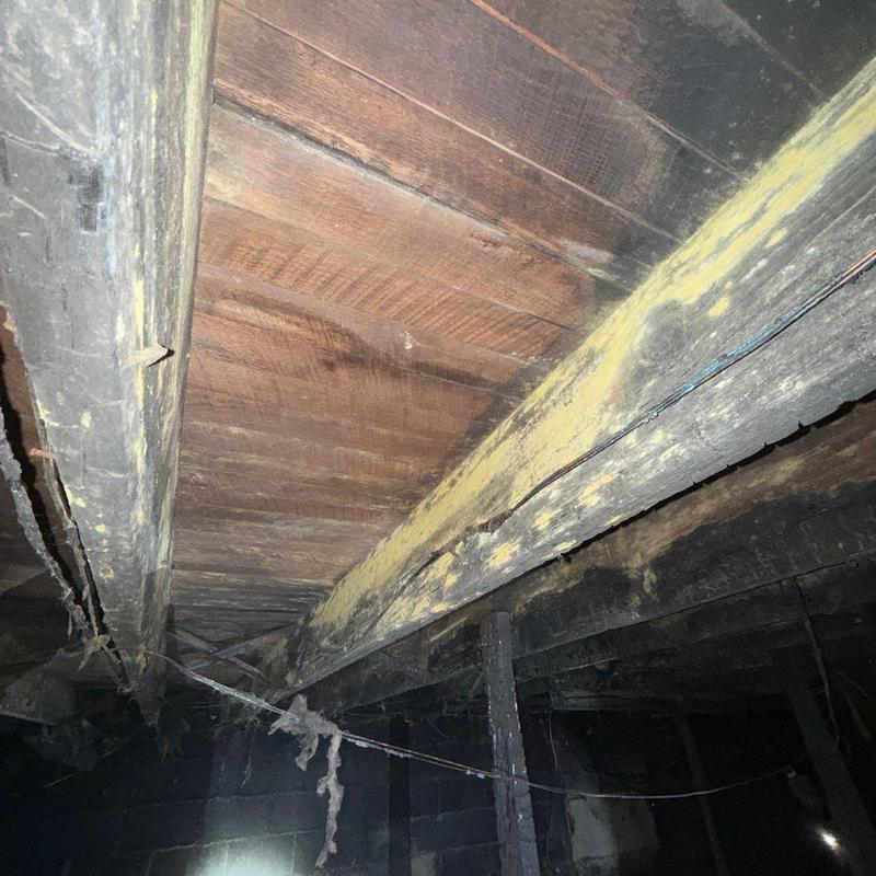 Basement wooden joists with mold and damage