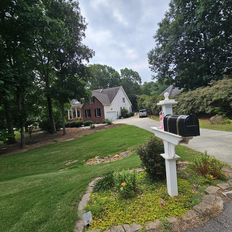 Mailbox post with black mailbox in residential yard Mailbox post with black mailbox in residential yard