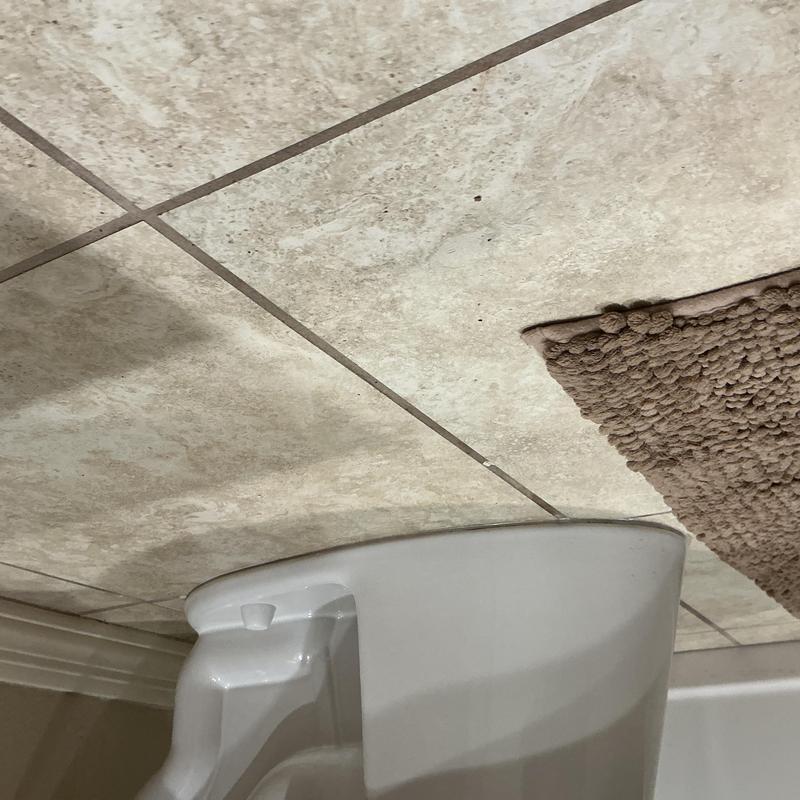 Toilet base on tiled floor with nearby brown rug