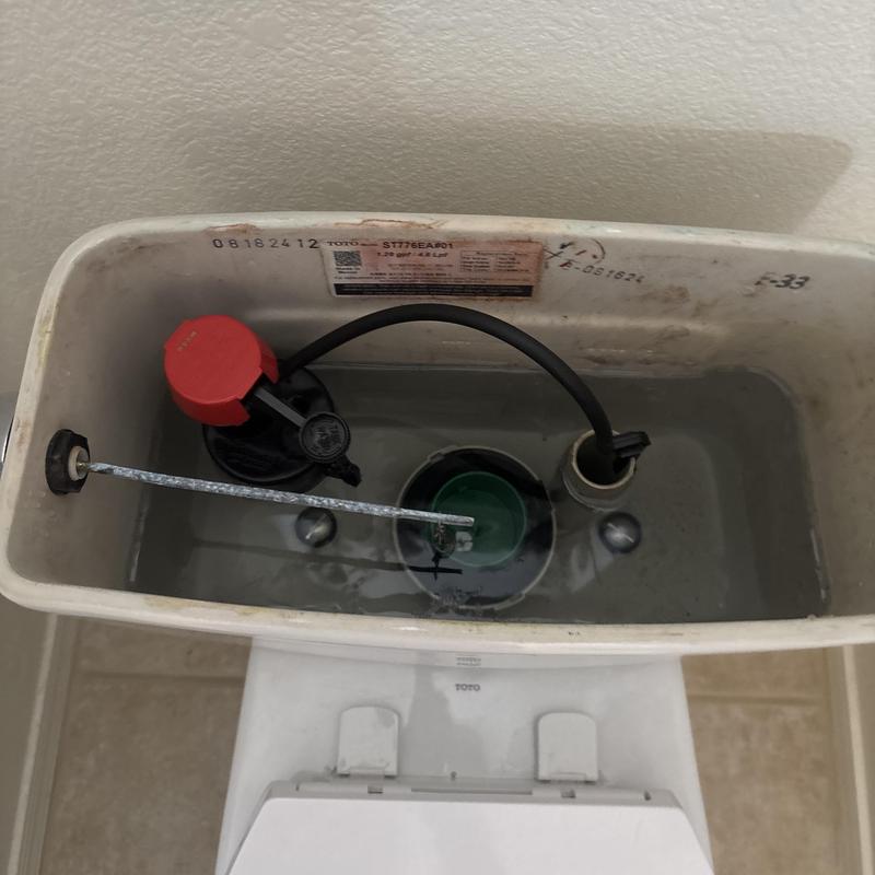 Toilet tank fill valve and flush mechanism in Glendale, AZ