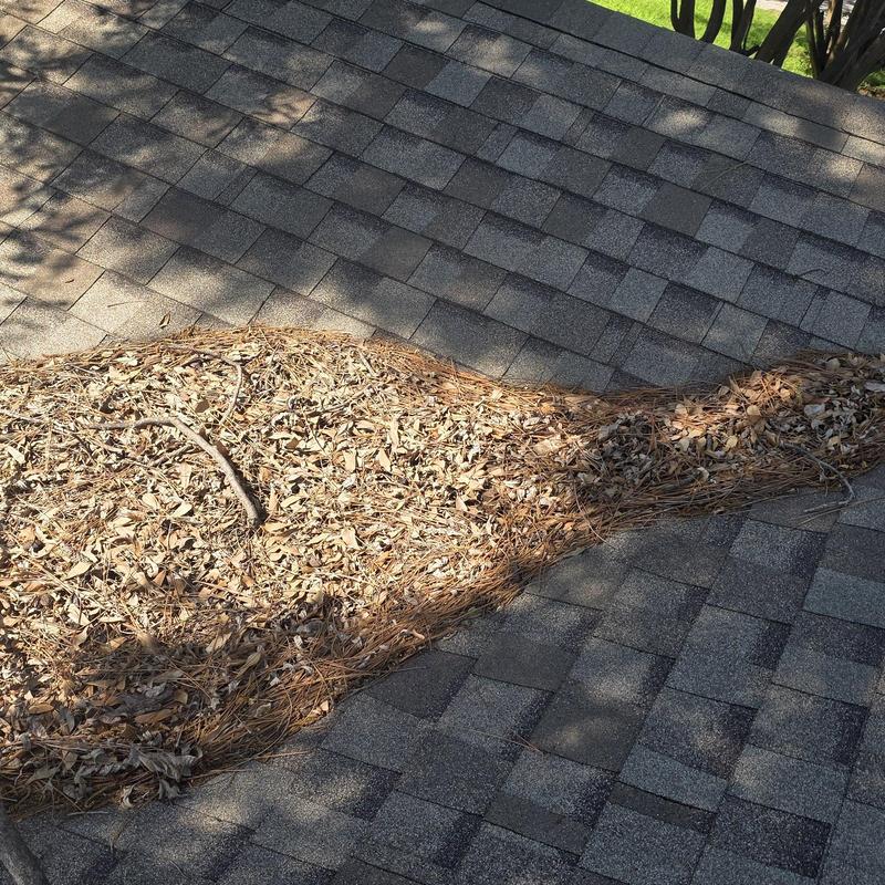Roof shingles with leaf and debris accumulation