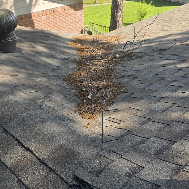 Roof valley with debris buildup and shingle wear