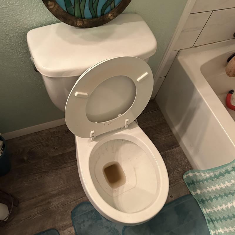 Toilet with shampoo bottle blockage removal and reinstallation Toilet with shampoo bottle blockage removal and reinstallation