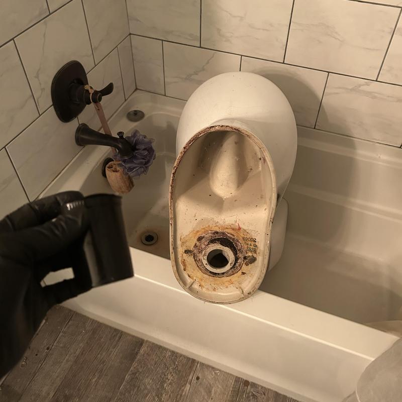 Toilet base with removed wax ring in bathtub Toilet base with removed wax ring in bathtub
