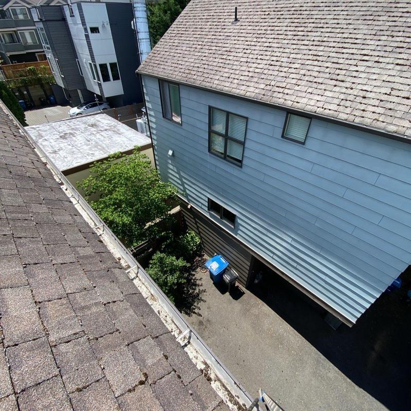Roof gutter cleaning with moss treatment and debris removal
