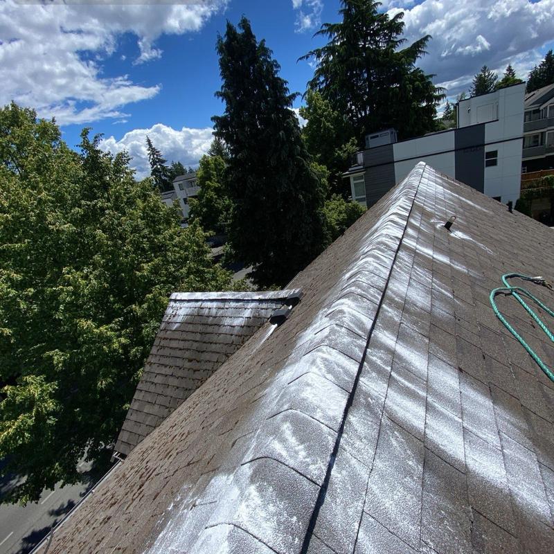 Roof shingles with moss treatment application in Seattle