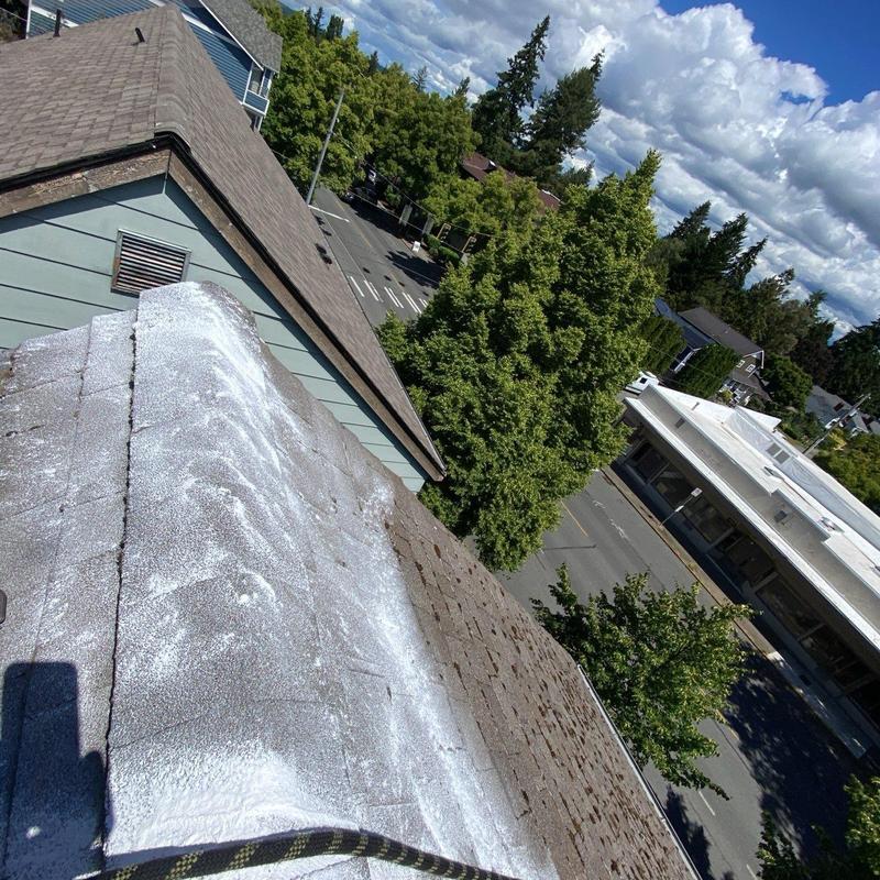 Roof moss treatment application on shingle roof