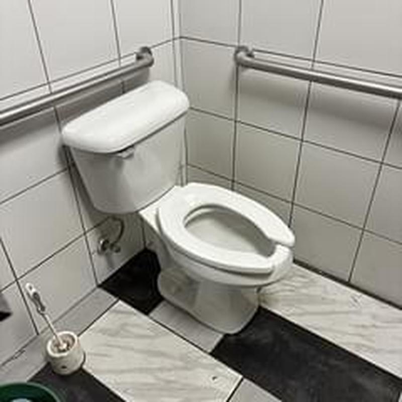 Mansfield ADA elongated toilet with grab bars installed Mansfield ADA elongated toilet with grab bars installed