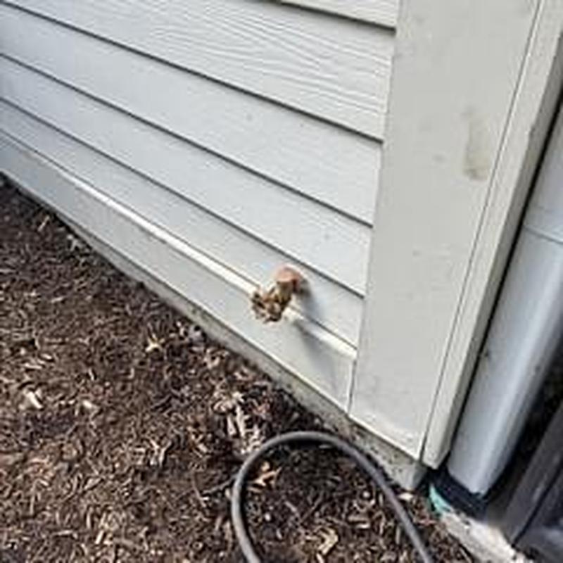 Hose bib with copper valve installed on exterior wall Hose bib with copper valve installed on exterior wall