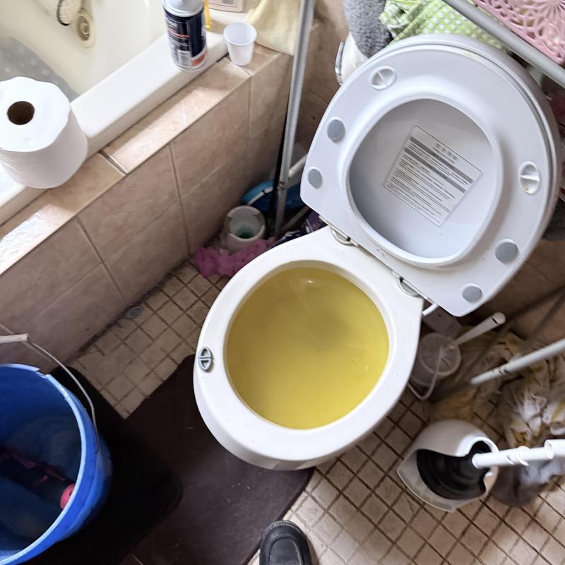 Toilet bowl with yellow water, bathroom plunger nearby