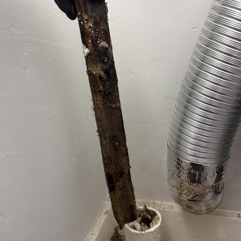 Drain pipe blockage with wood piece removal