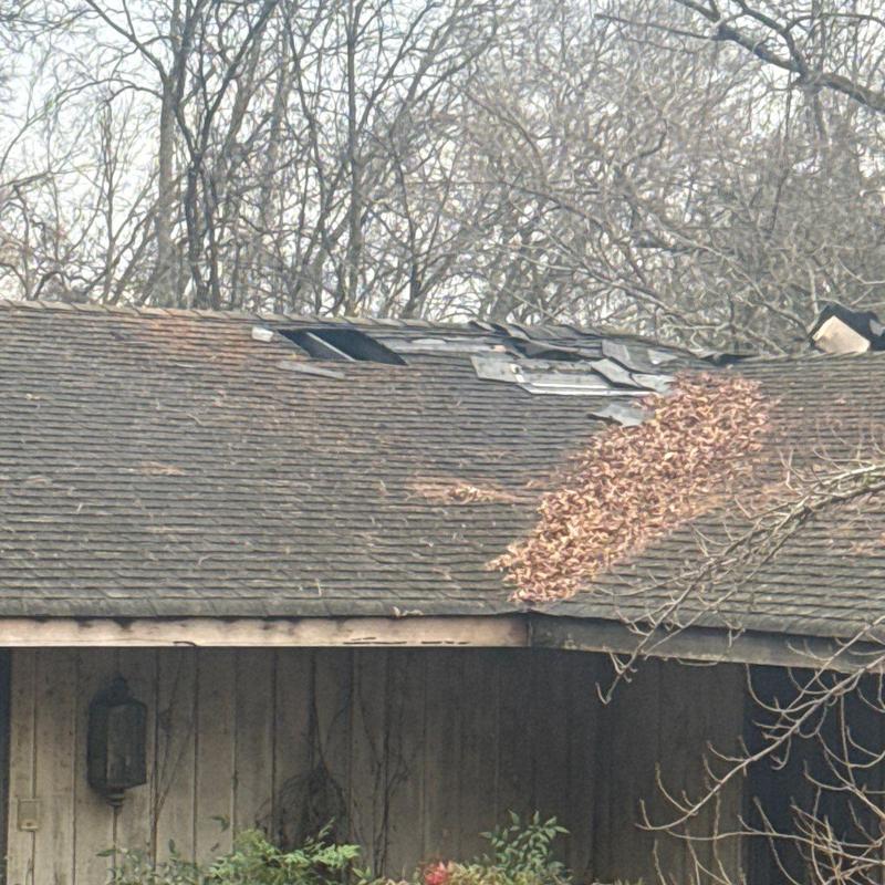 Roof shingles with hail damage and leaf debris on roof