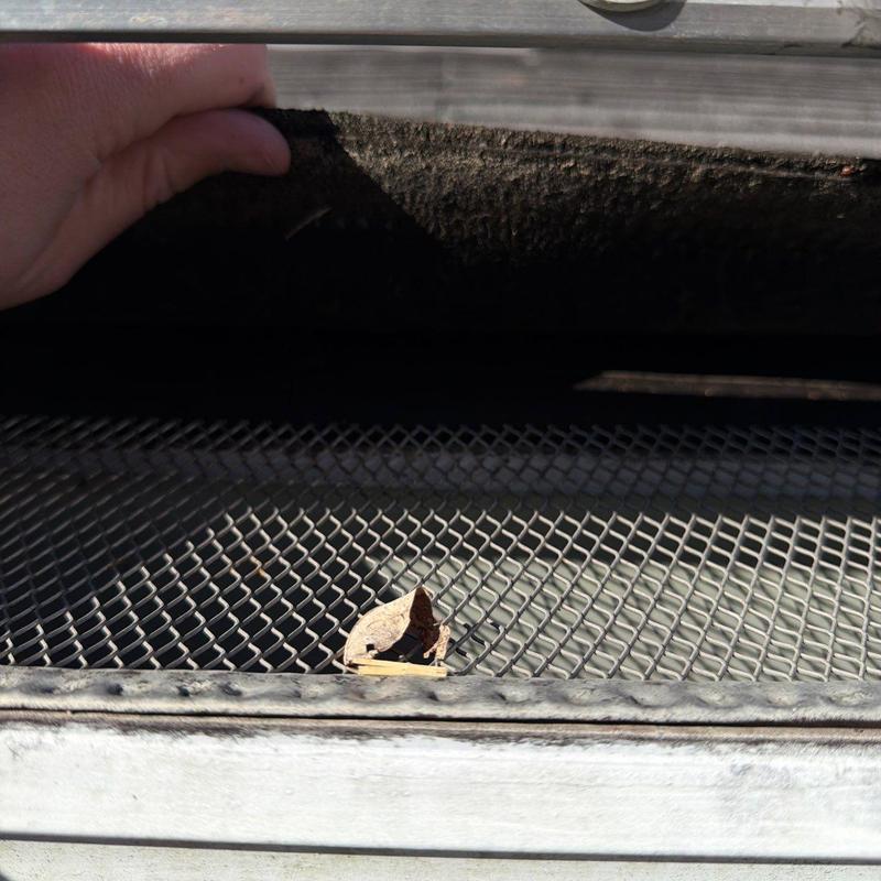 Roof vent screen with debris and potential damage