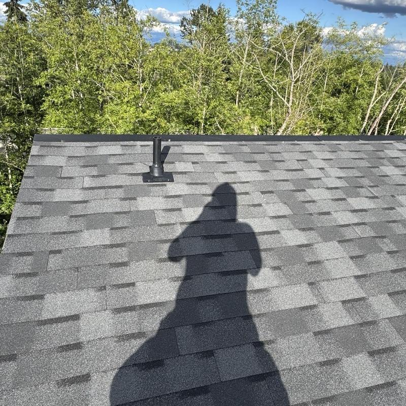 Pipe boot on asphalt shingle roof with tree background