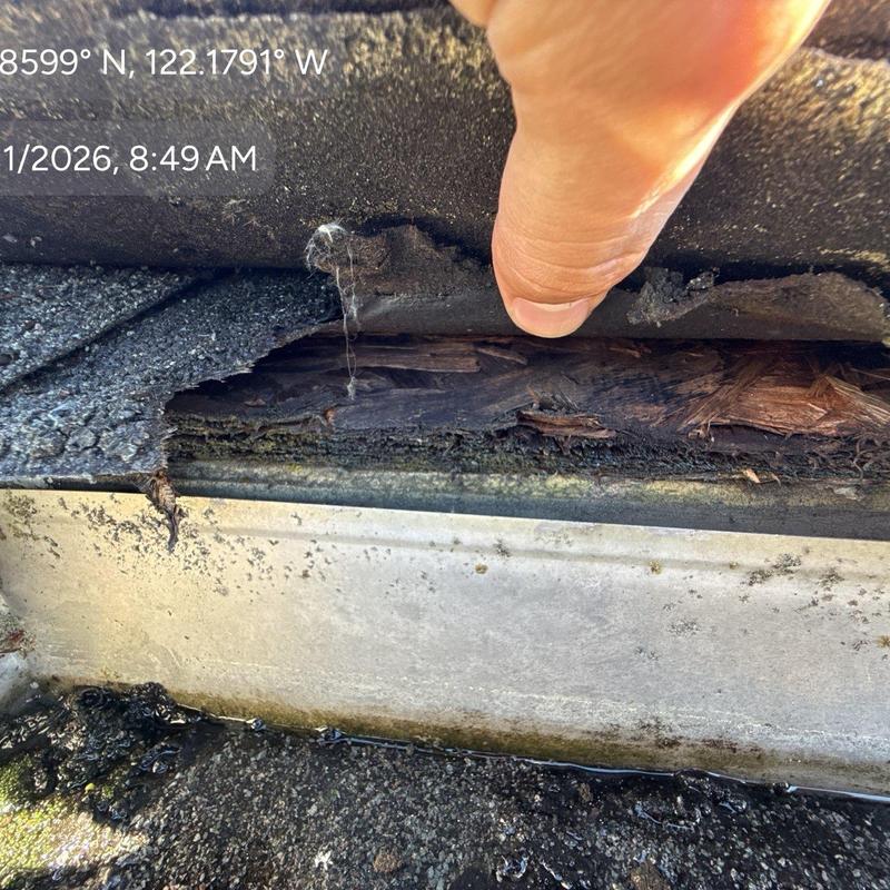 Roof decking with water damage under lifted shingles