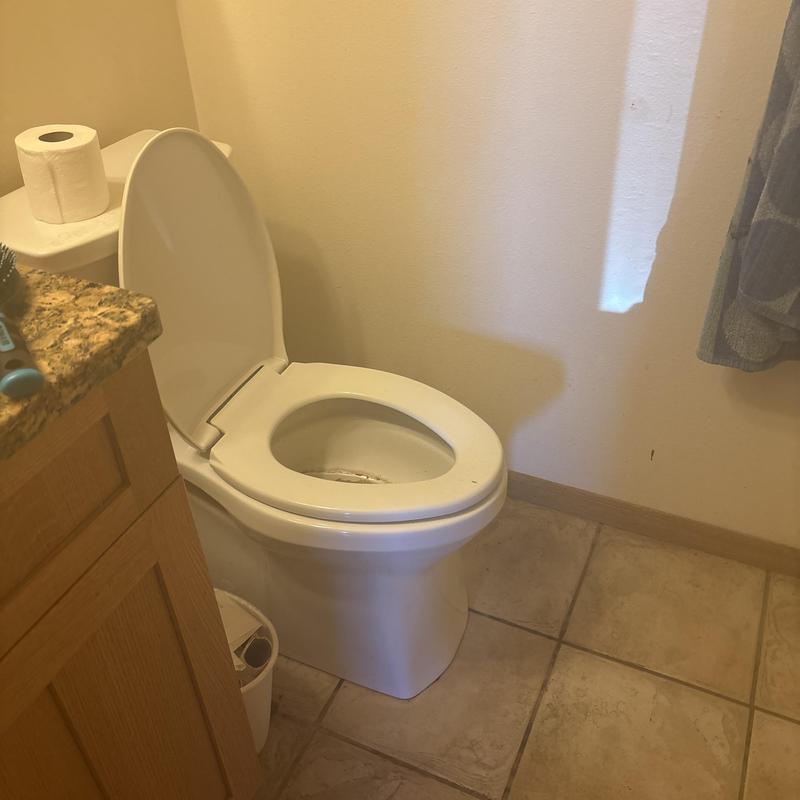 Toilet with open lid in bathroom corner Toilet with open lid in bathroom corner
