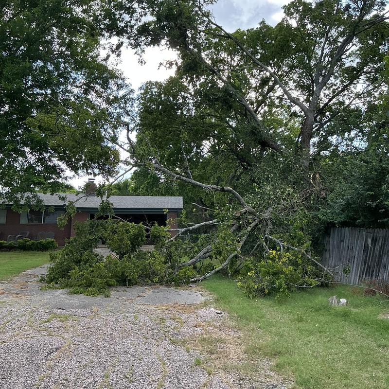 Storm-damaged tree blocking residential driveway and fence Storm-damaged tree blocking residential driveway and fence