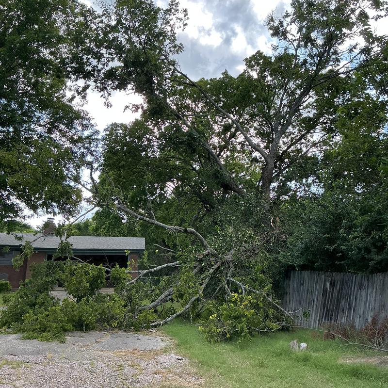 Storm-damaged tree blocking driveway and fence Storm-damaged tree blocking driveway and fence