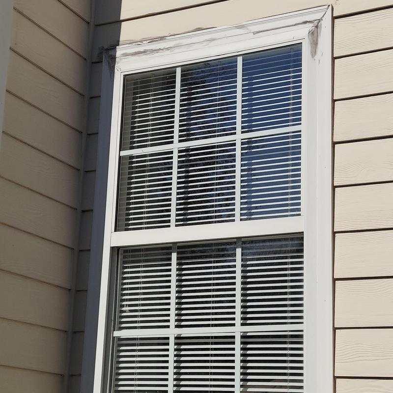 Vinyl window with white blinds in beige siding wall Vinyl window with white blinds in beige siding wall