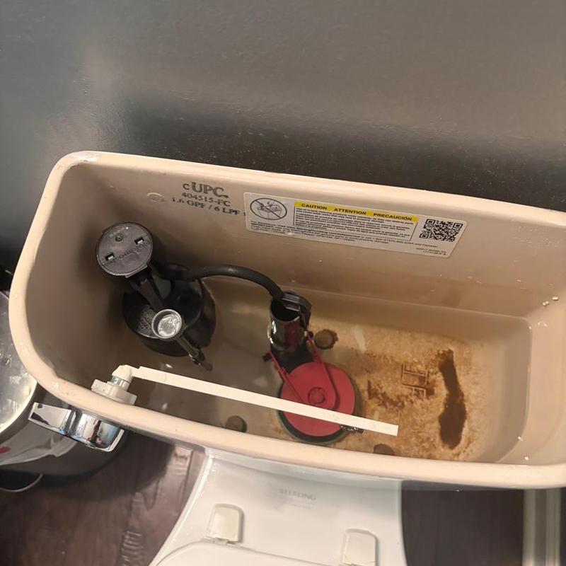 Toilet tank fill valve and flapper replacement inside basin