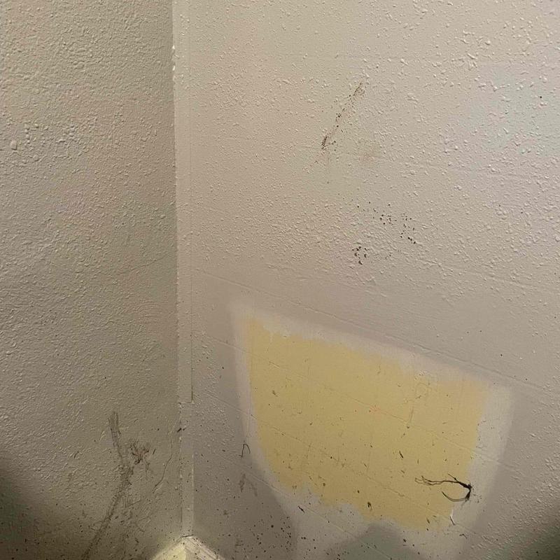 Basement wall corner with water damage and stains Basement wall corner with water damage and stains