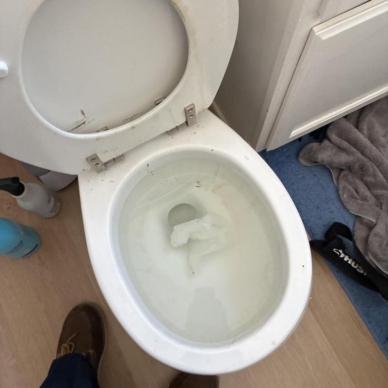 Toilet bowl with standing water and tissue blockage