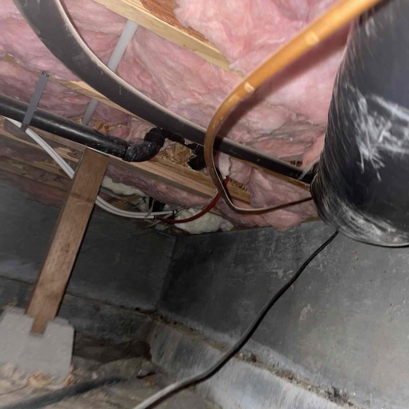 Black PVC drain pipe with attic insulation above Black PVC drain pipe with attic insulation above