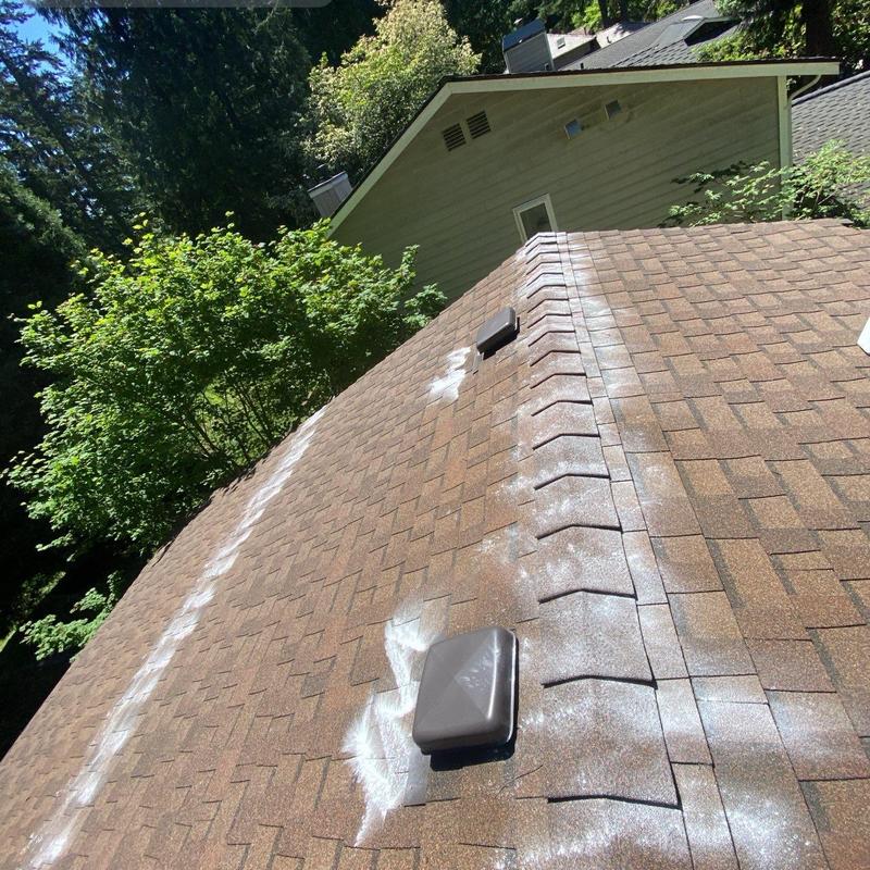 Asphalt shingle roof with moss treatment applied