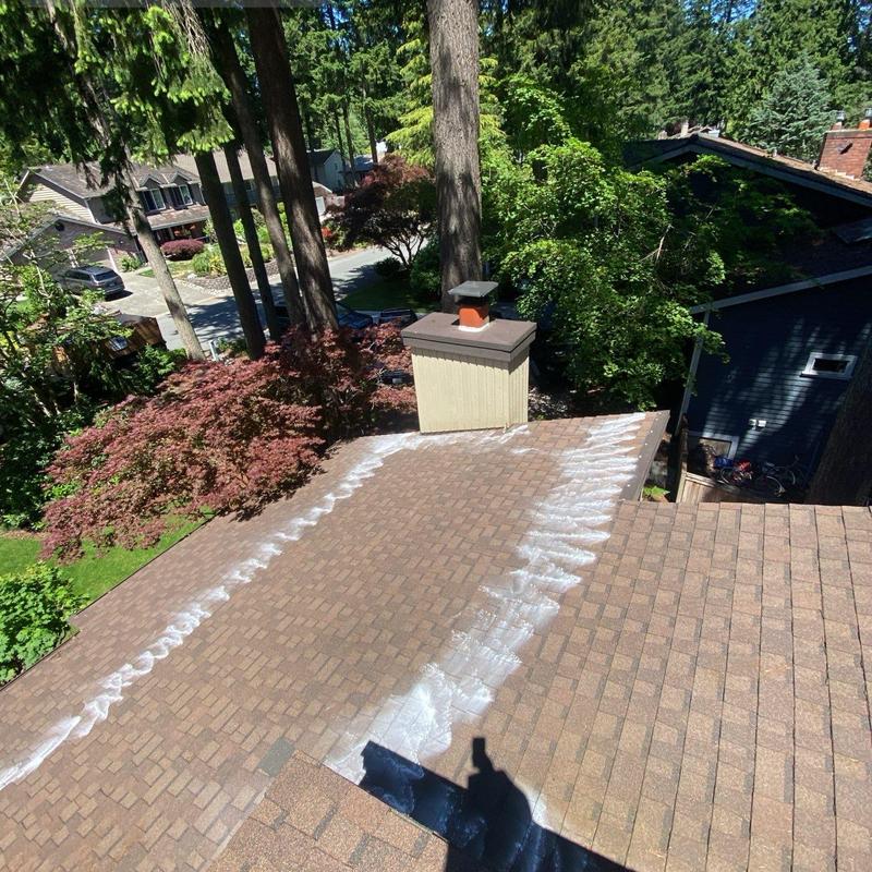 Roof shingles with moss treatment application