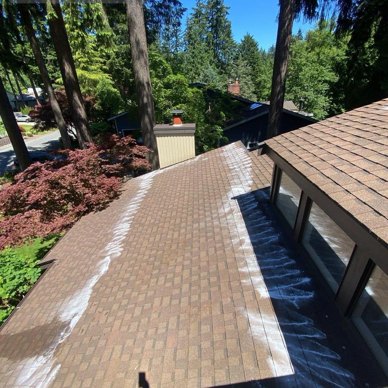 Roof shingles with moss treatment applied and cleaned gutters