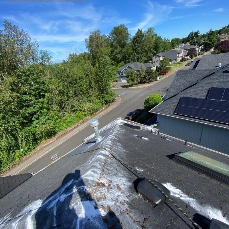 Roof moss removal and cleaning on residential roof