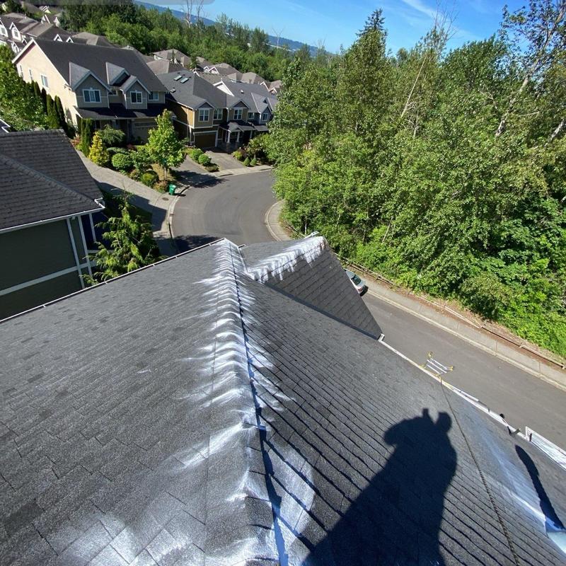 Asphalt shingle roof with moss removal and cleaning