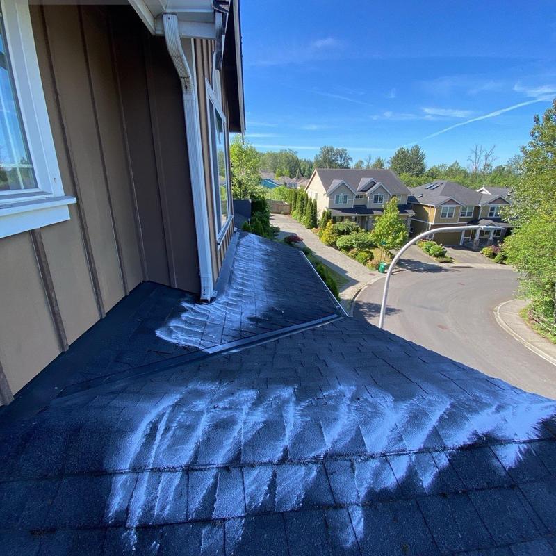 Roof shingles with moss removal traces and clean gutters