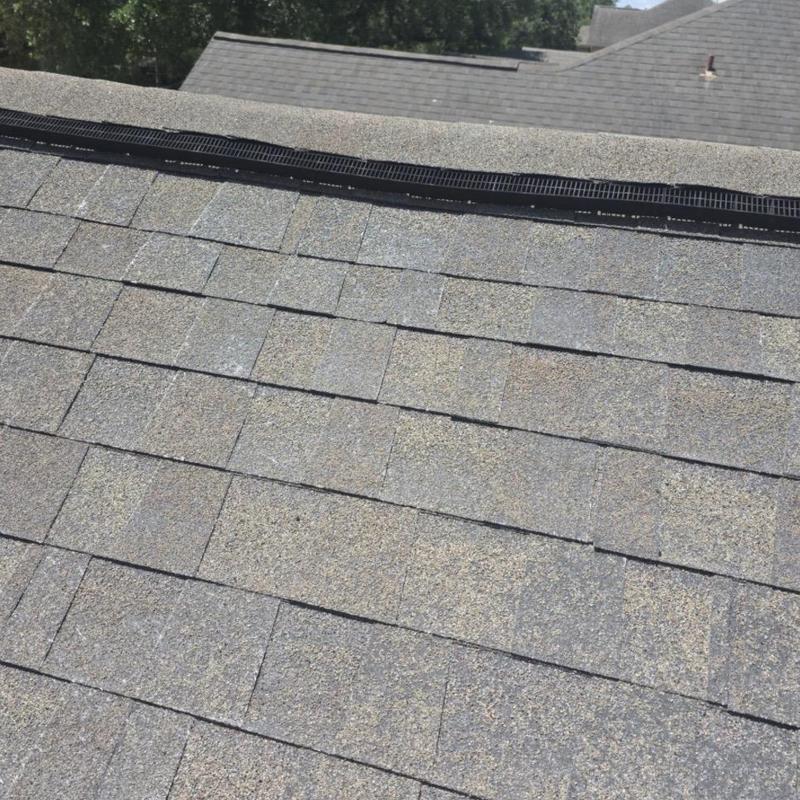 Architectural shingles with hail damage and granule loss
