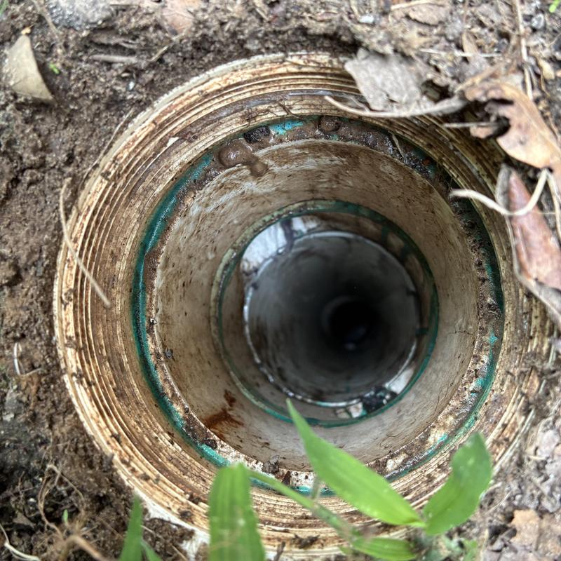 Sewer cleanout pipe opening in soil with foliage nearby