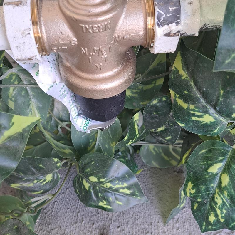 Brass water valve with piping among leaves Brass water valve with piping among leaves