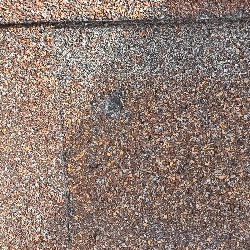 Asphalt shingle with hail damage granule loss