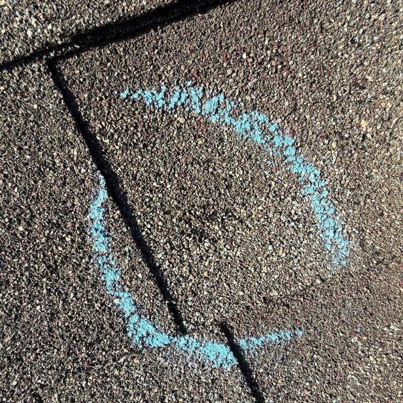 Roof shingles with hail damage marked in blue chalk