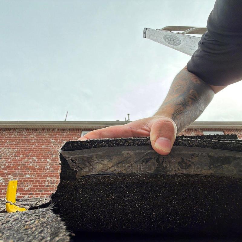 Damaged roofing shingle edge lifted for inspection