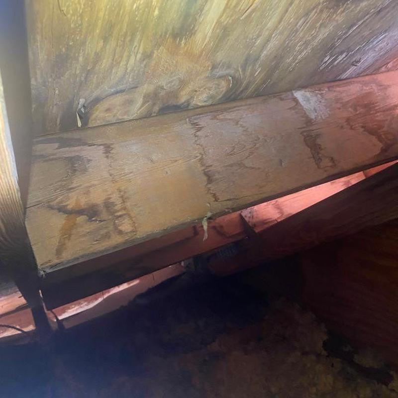 Roof decking showing water damage beneath concrete tile roof Roof decking showing water damage beneath concrete tile roof