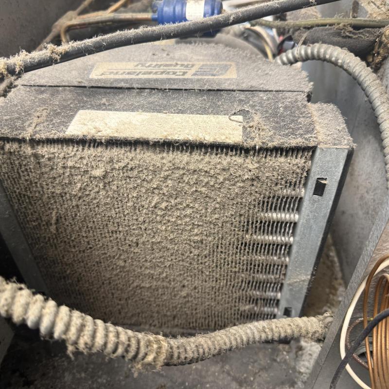 Refrigerator evaporator coil heavily covered in dust Refrigerator evaporator coil heavily covered in dust