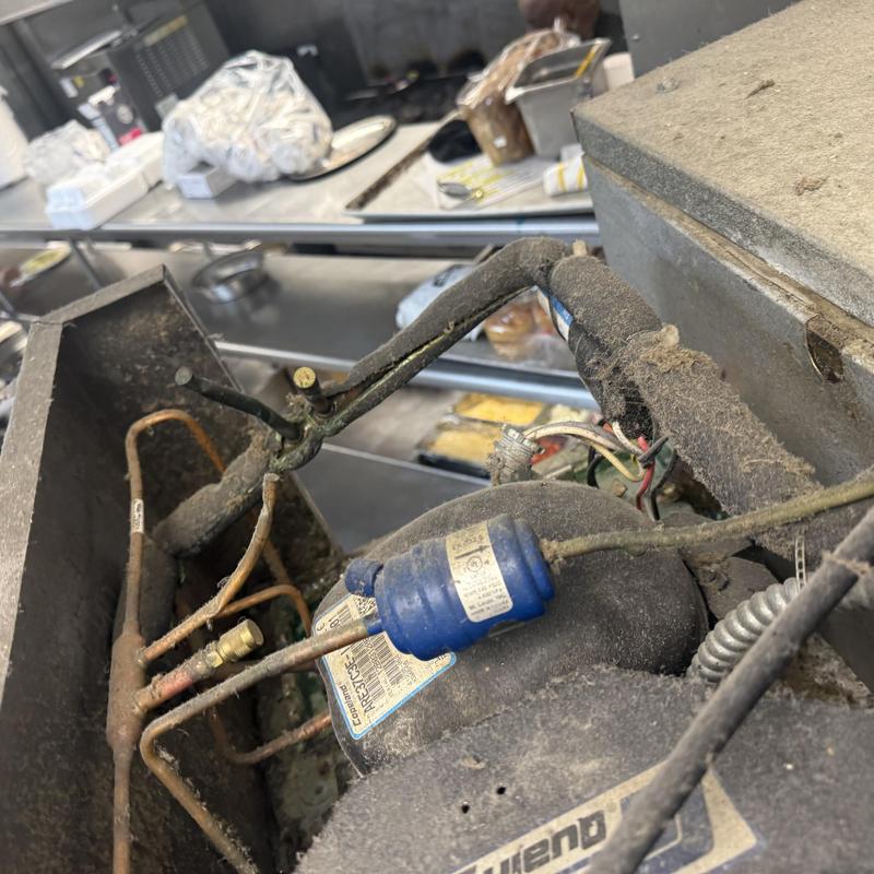 Two-door reach-in dessert refrigerator compressor and wiring Two-door reach-in dessert refrigerator compressor and wiring