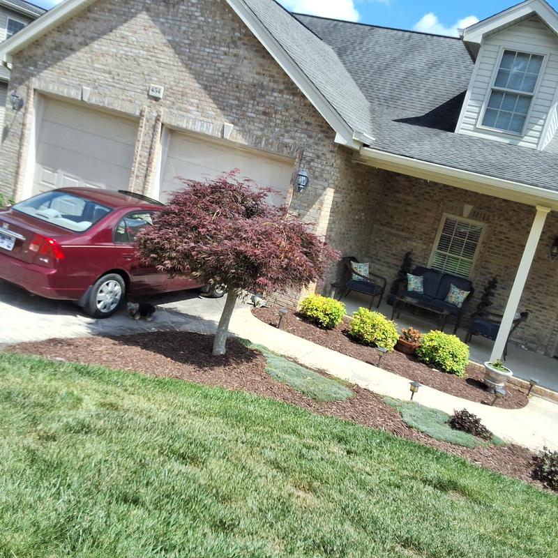Roof shingles and gutter on residential home exterior Roof shingles and gutter on residential home exterior